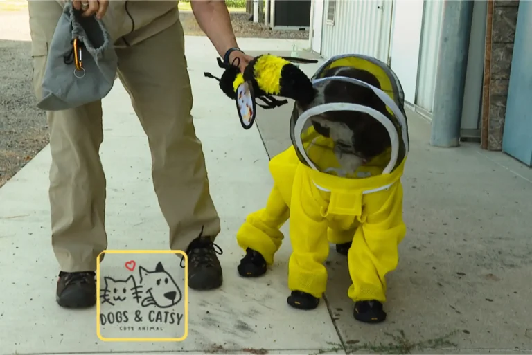 A U.S. Dog Is Sniffing Out Deadly Bee Bacterial Diseases