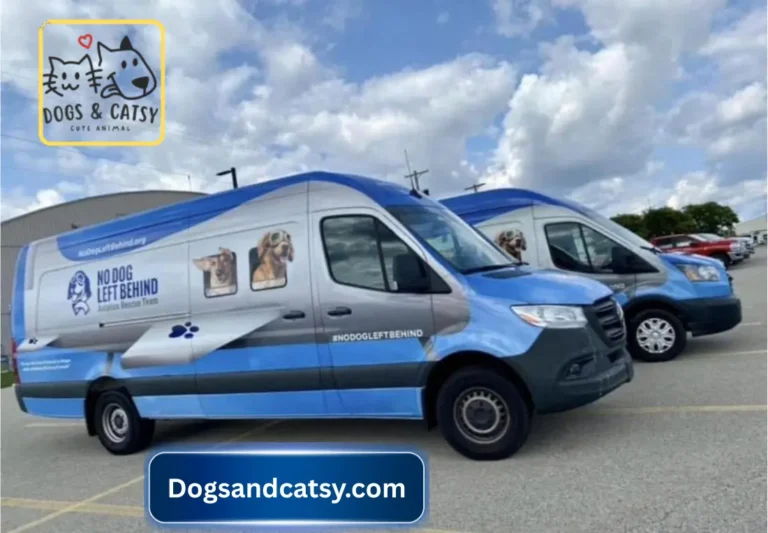 No Dog Left Behind Saved 18000 Dogd since 2013 as a Free Transport Service