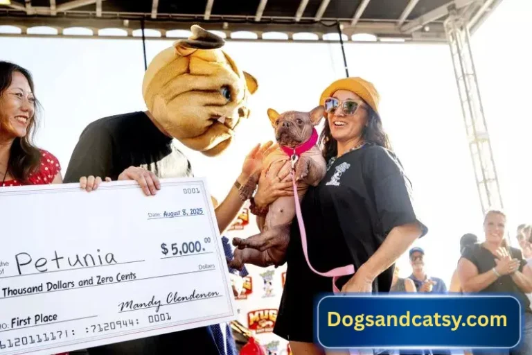 Worlds Ugliest Dog Competetion Winner 2025